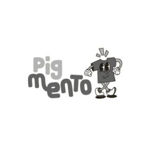 logo pasarela web mintra (1)